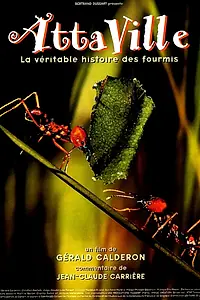 Главный постер фильма «Attaville, la véritable histoire des fourmis (1998)»