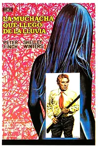Постер к фильму «Что-то, что нужно скрыть (1972)»
