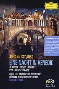 Главный постер фильма «Ночь в Венеции (1974)»