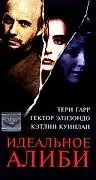 Постер к фильму «Идеальное алиби (1995)»
