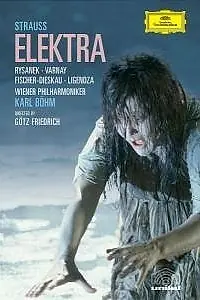 Постер к фильму «Электра (1981)»