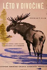 Главный постер фильма «Лето в дикой местности (1957)»