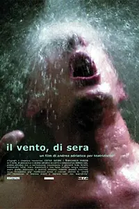 Главный постер фильма «Il vento, di sera (2004)»