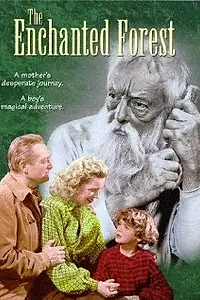 Постер к фильму «The Enchanted Forest (1945)»