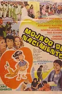 Постер к фильму «Mojado de nacimiento (1981)»