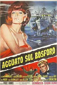 Главный постер фильма «Agguato sul Bosforo (1969)»