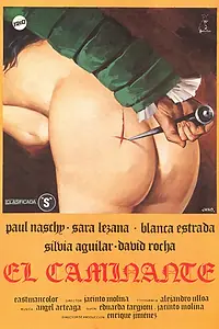Постер к фильму «Странник (1979)»