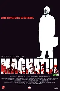 Постер к фильму «Magnatul (2004)»