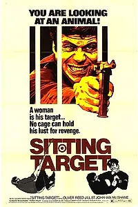 Главный постер фильма «Сидячая цель (1972)»