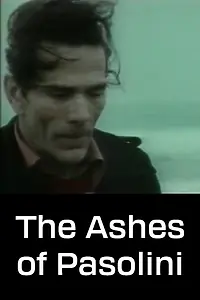 Постер к фильму «Le ceneri di Pasolini (1994)»
