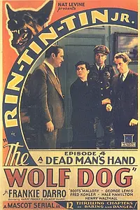 Главный постер фильма «The Wolf Dog (1933)»