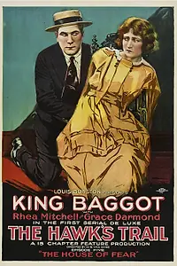 Постер к фильму «The Hawk's Trail (1919)»