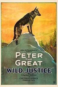 Постер к фильму «Wild Justice (1925)»