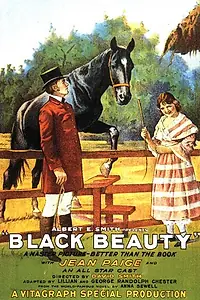 Главный постер фильма «Черная красавица (1921)»
