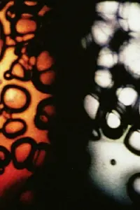 Главный постер фильма «Bardo Follies (1967)»