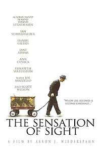 Постер к фильму «Ощущение видения (2006)»