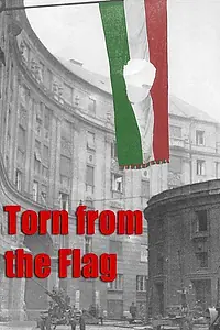 Главный постер фильма «Torn from the Flag: A Film by Klaudia Kovacs (2007)»