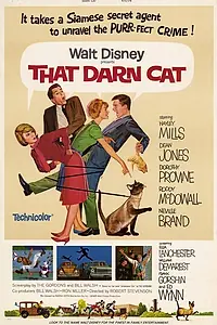 Главный постер фильма «Эта дикая кошка (1965)»