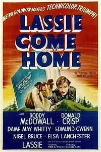 Главный постер фильма «Лесси возвращается домой (1943)»