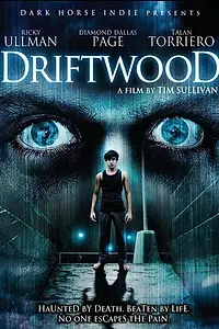 Постер к фильму «Дрифтвуд (2006)»