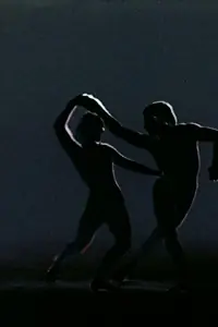 Постер к фильму «Mixed-Double (1971)»