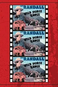 Постер к фильму «Wild Horse Range (1940)»