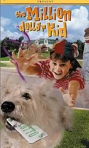 Постер к фильму «Парнишка-миллионер (2000)»