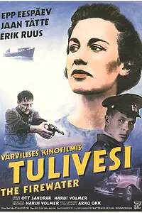 Постер к фильму «Огненная вода (1994)»