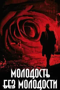 Постер к фильму «Молодость без молодости (2007)»