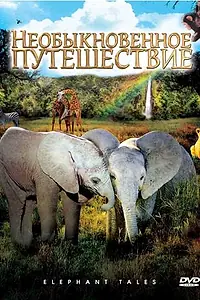 Постер к фильму «Необыкновенное путешествие: История про двух слонят (2006)»
