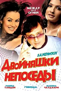 Главный постер фильма «Двойняшки непоседы (2006)»