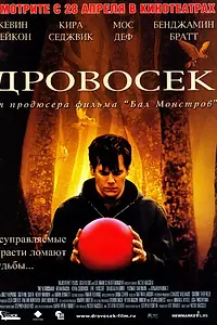Постер к фильму «Дровосек (2004)»