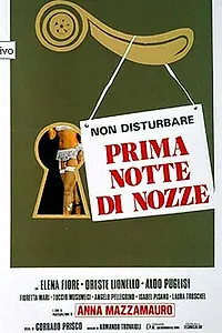 Постер к фильму «Первая брачная ночь (1976)»