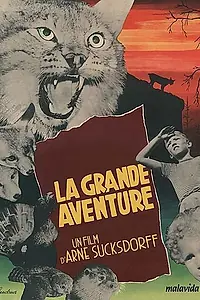 Главный постер фильма «Большое приключение (1953)»