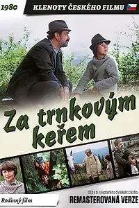 Постер к фильму «За кустами терновника (1981)»