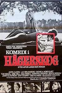 Главный постер фильма «Комедия в Хегерскуге (1968)»