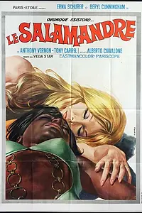 Постер к фильму «Саламандры (1969)»