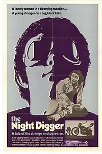 Главный постер фильма «Ночной мотоциклист (1971)»