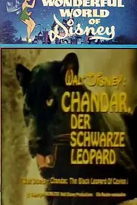 Главный постер фильма «Chandar, the Black Leopard of Ceylon (1972)»