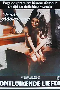 Постер к фильму «Первый опыт (1985)»