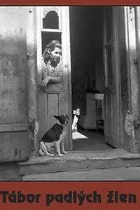 Постер к фильму «Лагерь падших женщин (1997)»