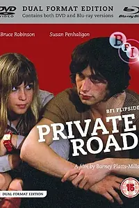 Постер к фильму «Частная дорога (1971)»
