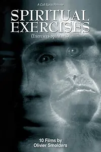 Постер к фильму «Любитель (1996)»
