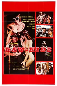 Постер к фильму «Code Name: Raw-Hide (1971)»