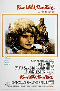 Постер к фильму «Беги, малыш, беги! (1969)»