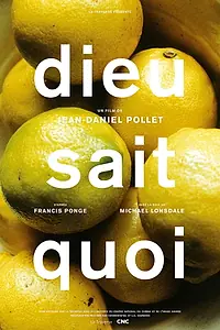 Главный постер фильма «Dieu sait quoi (1994)»