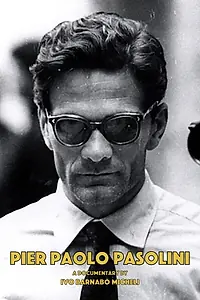 Главный постер фильма «Pier Paolo Pasolini (1995)»