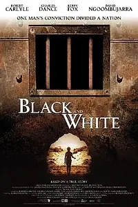 Главный постер фильма «Черное и белое (2002)»