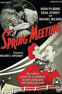 Постер к фильму «Spring Meeting (1941)»