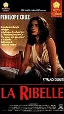 Постер к фильму «Бунтарь (1993)»